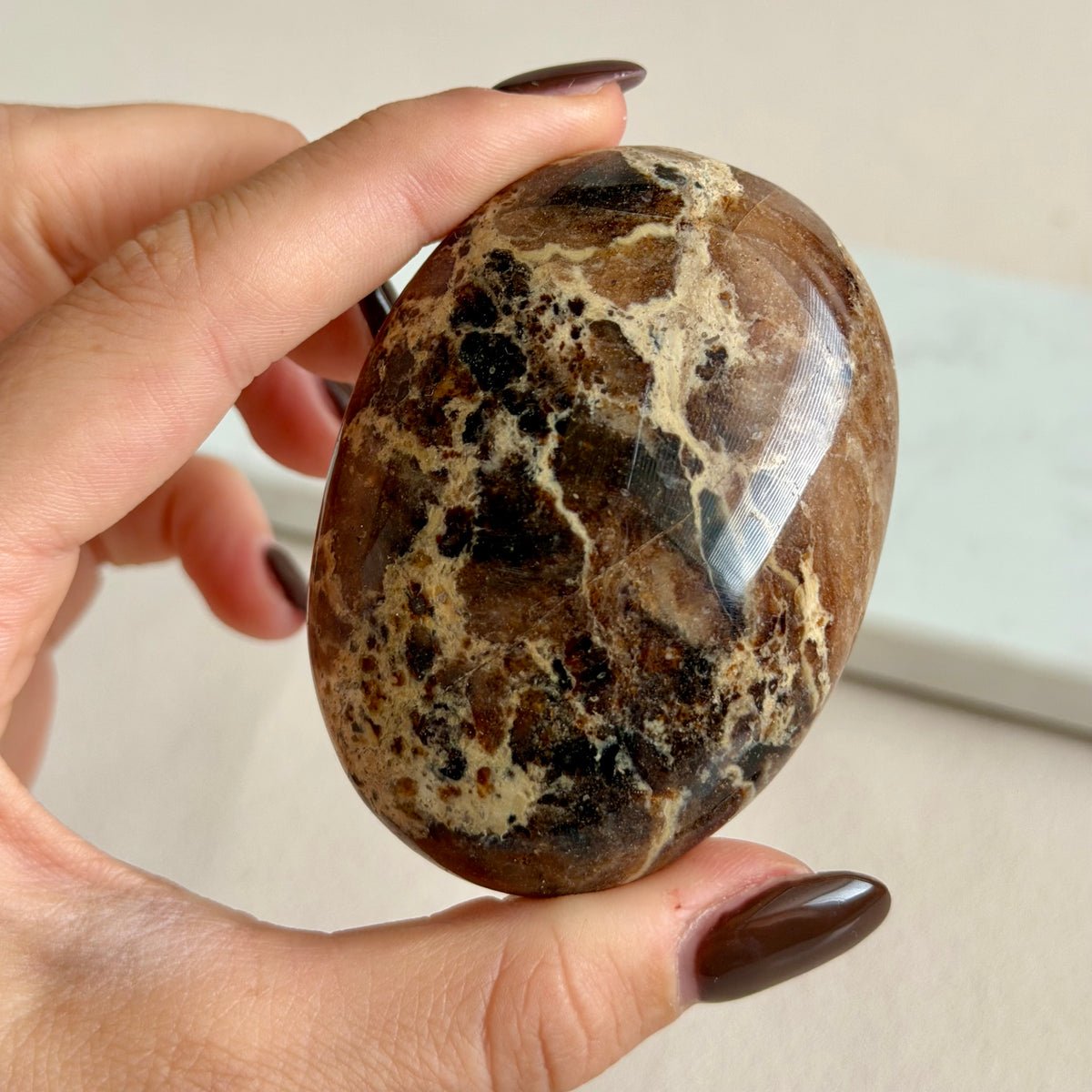 Schokojaspis Palmstone 17JS