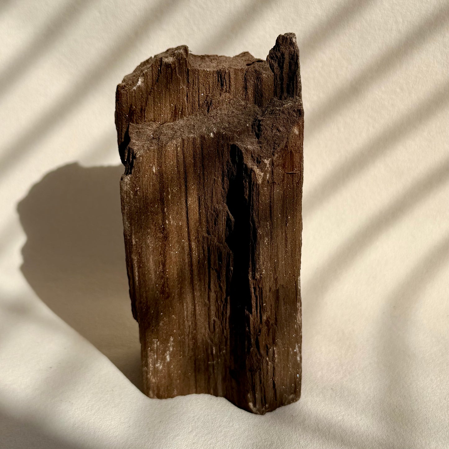 Feenholz 52FH