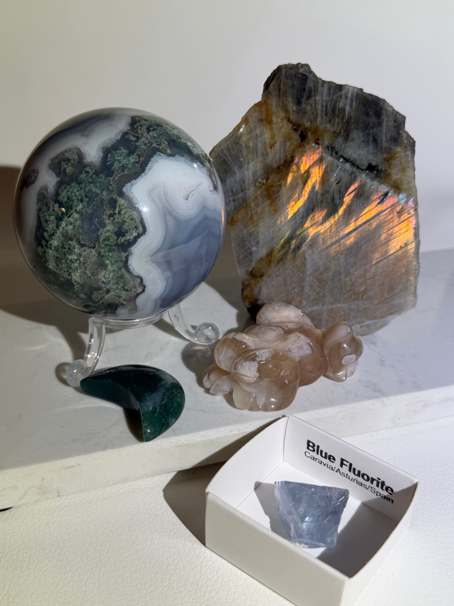 Forest Bundle F3