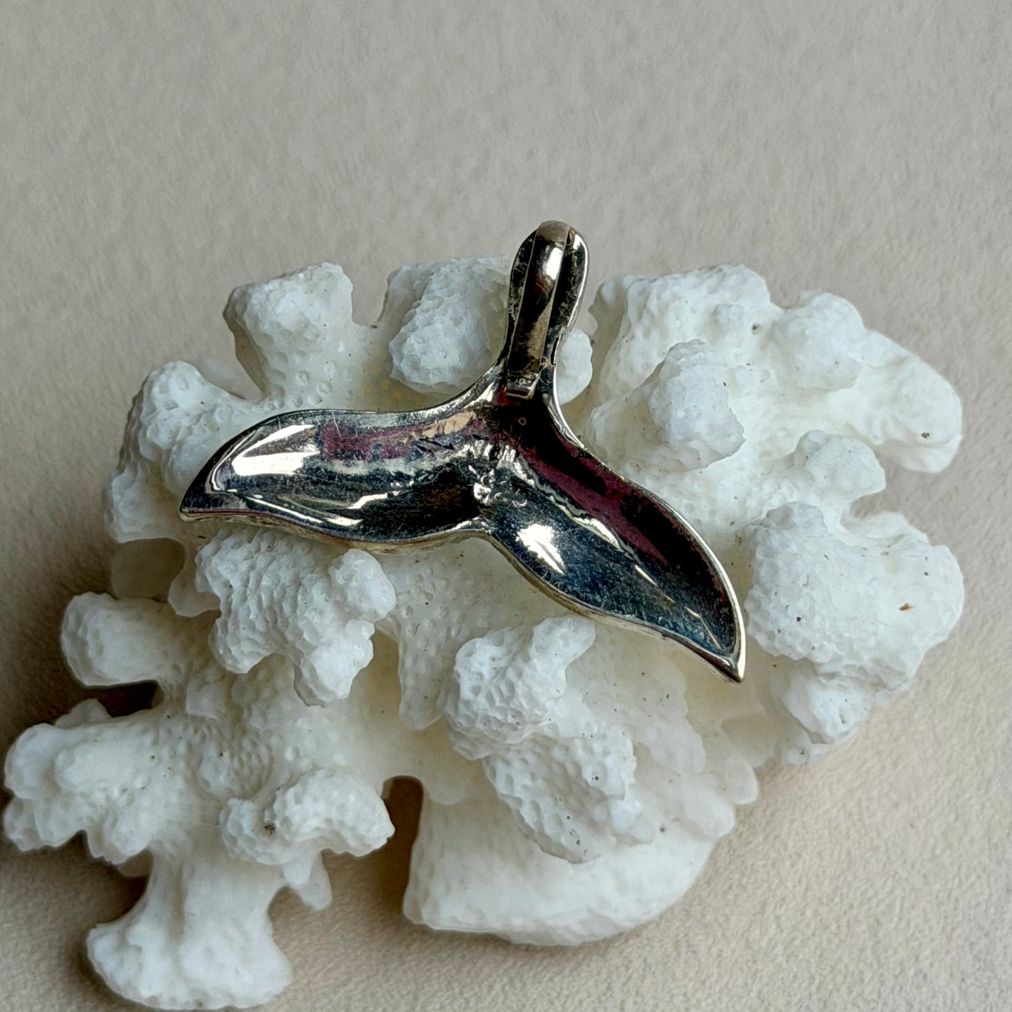 Abalone Delfinflosse Anhänger - 925 Silber - 29P