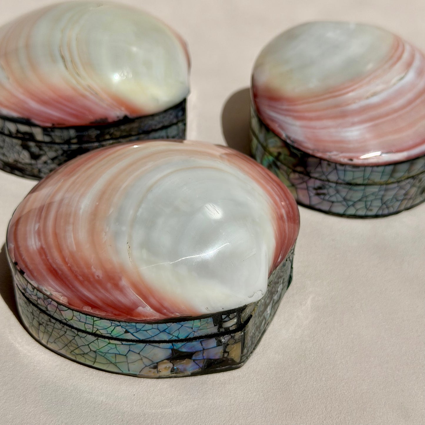 Herzmuschel - Schmuck Schatulle