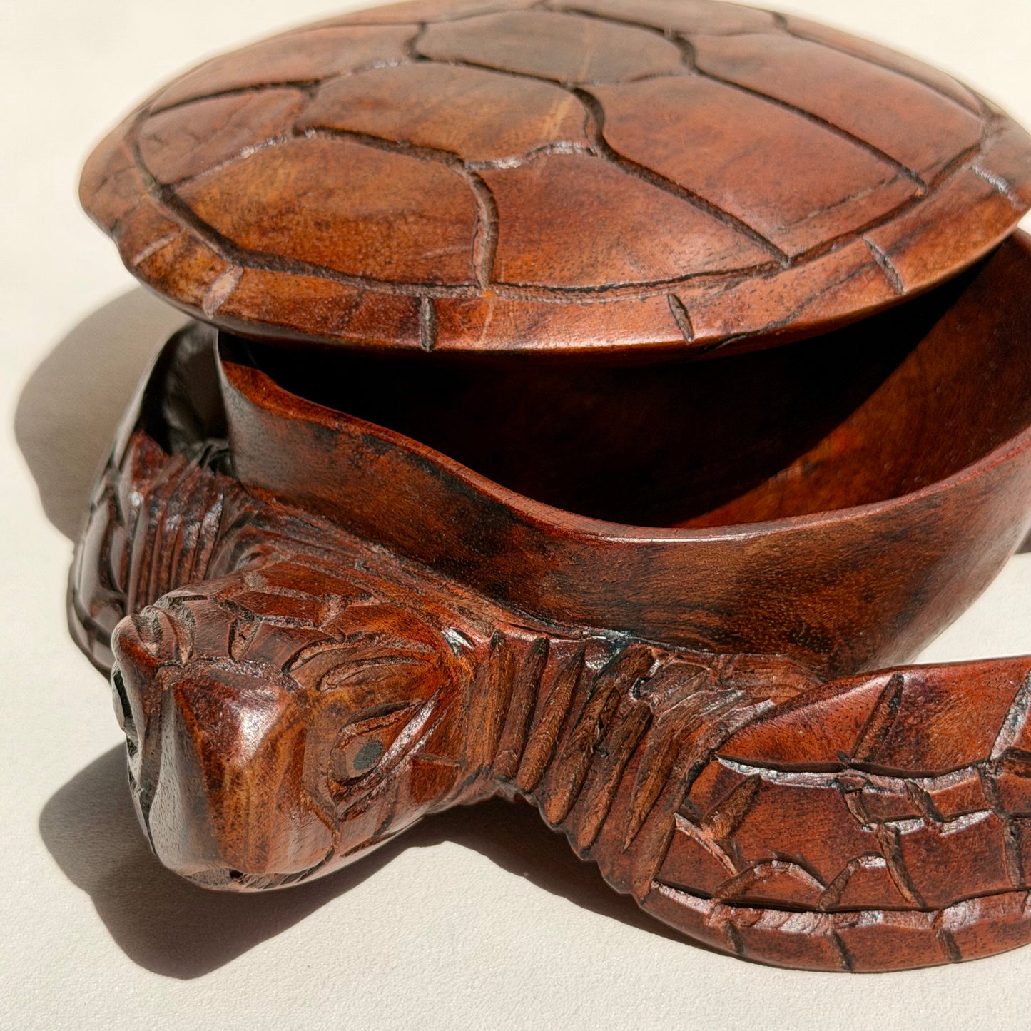 CHELONE - Schildkröten Schmuckschatulle