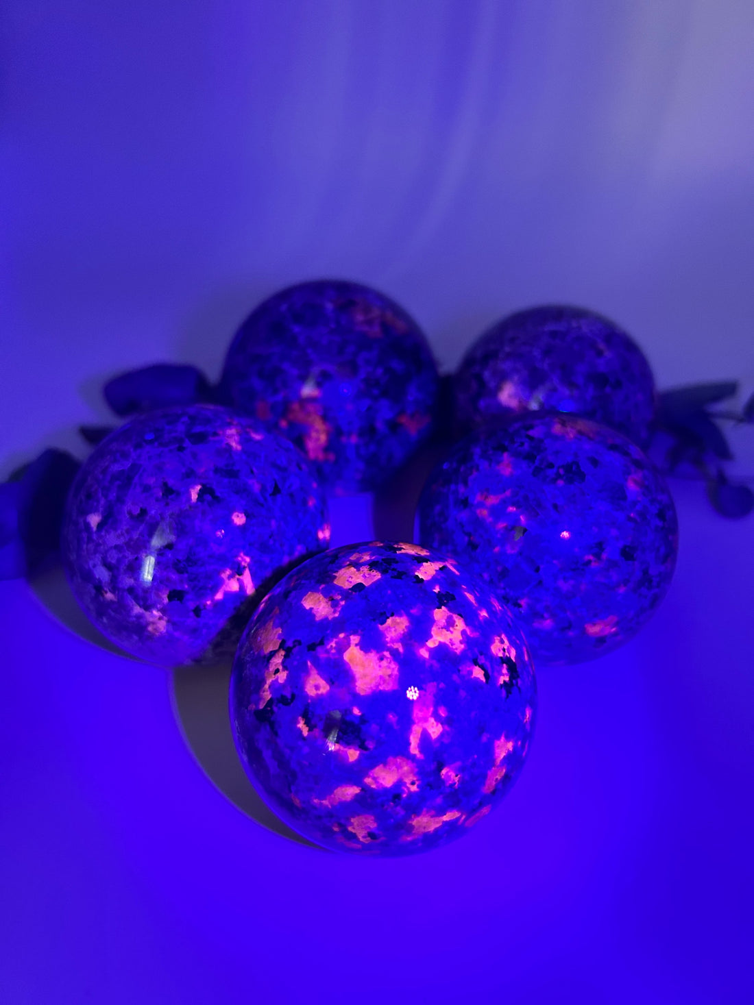 Sodalit reicher Syenit  aka Glowing Stone