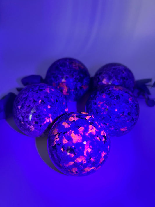 Sodalit reicher Syenit  aka Glowing Stone