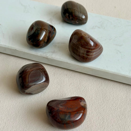 Fossiles Holz Trommelstein