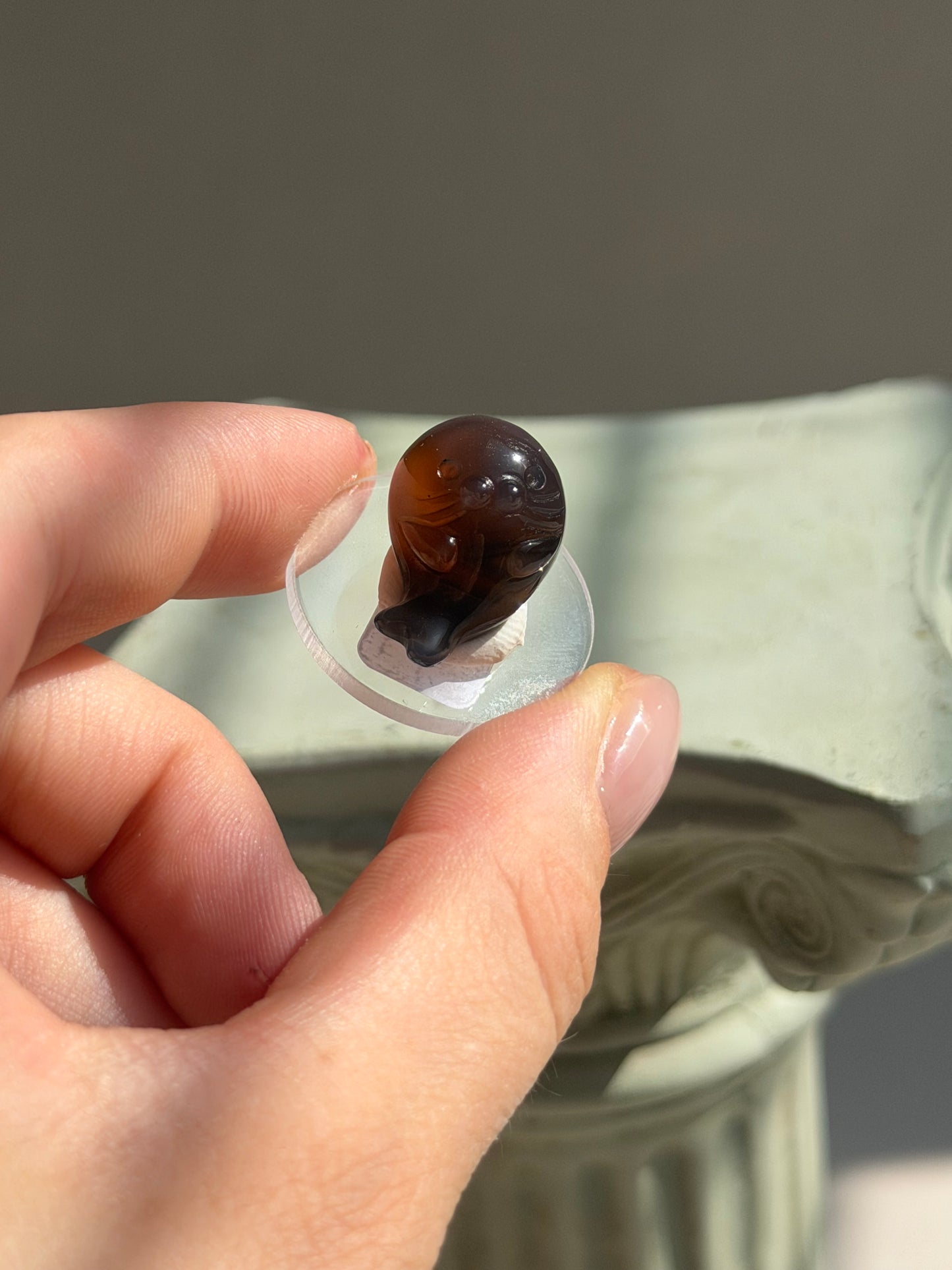 Alashan Agate Robbe 15FE