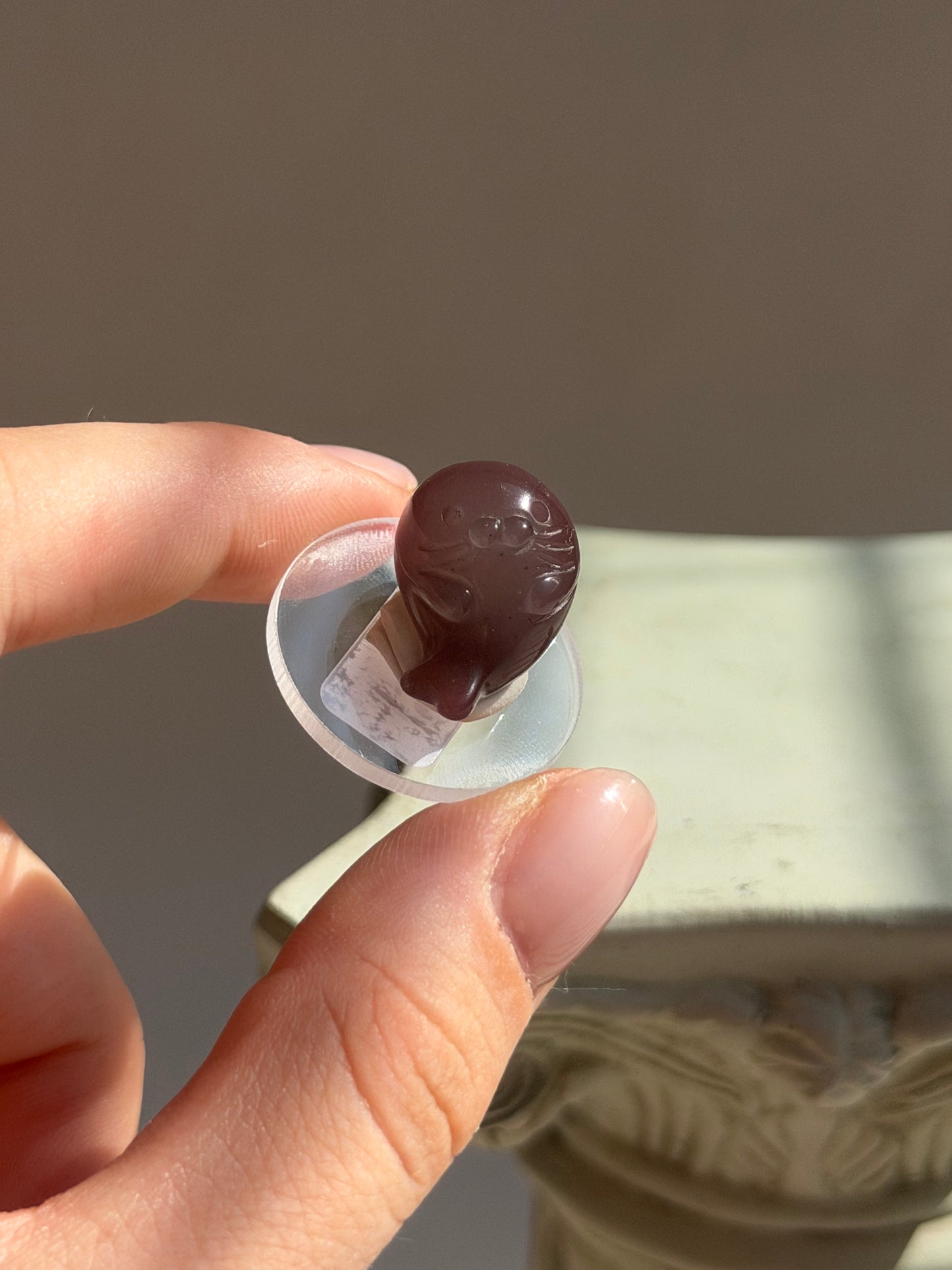 Alashan Agate Robbe 15GU