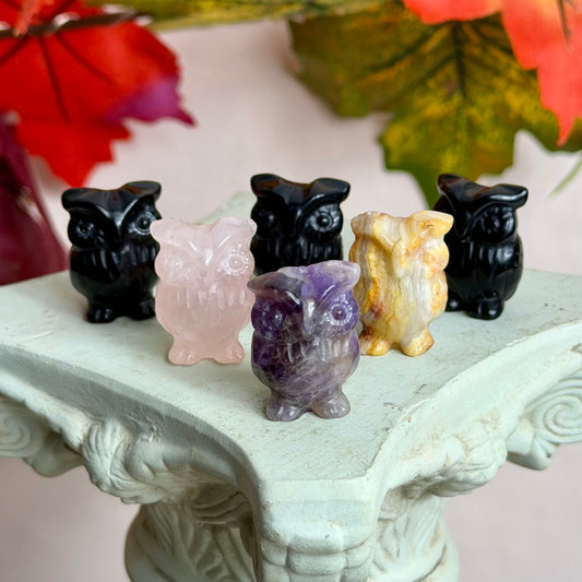 Mystery Mini Eule