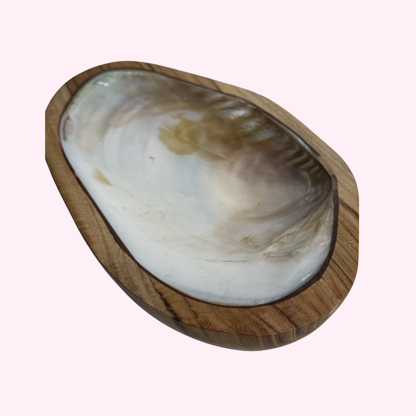 Schale aus Teakholz & Muschel - 17cm