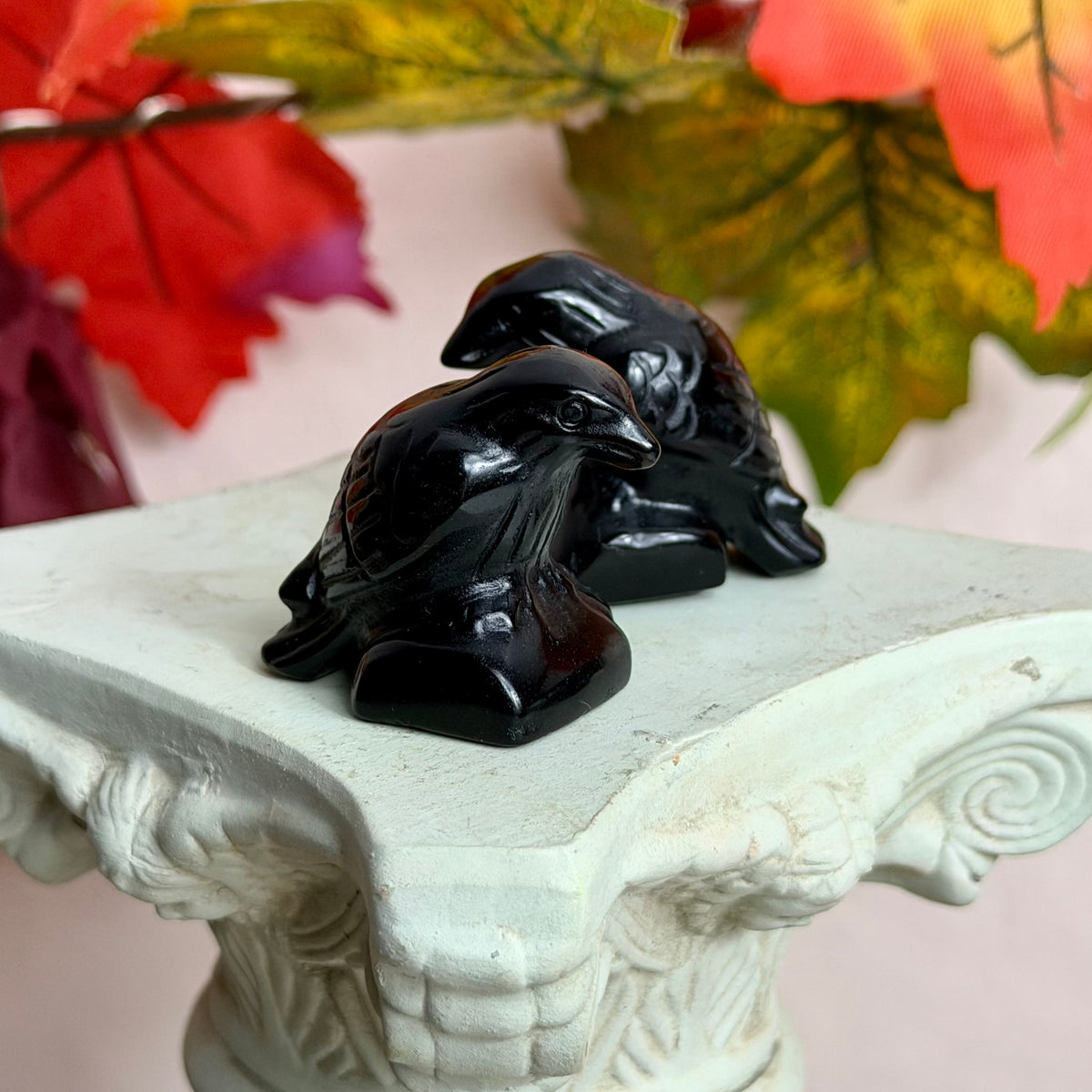 Obsidian Raabe