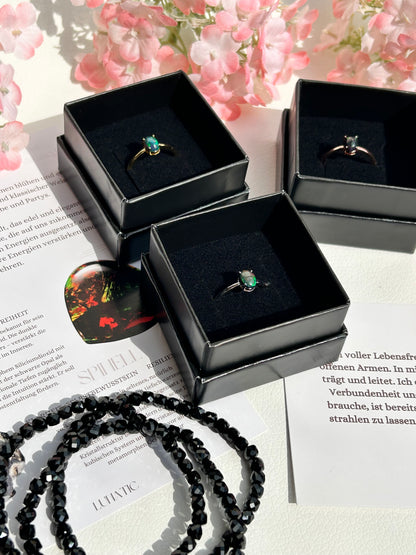 Juni 25 Box - Einzelkauf