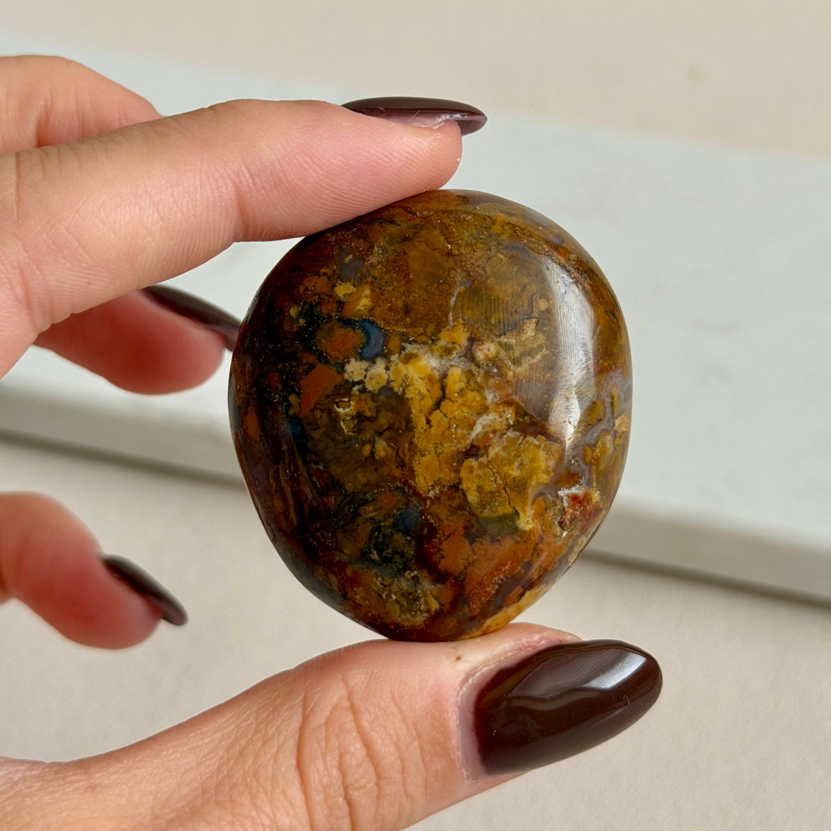 Polychrom Jaspis Palmstone 6JP