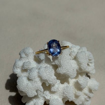 Blauer Fluorit Ring  - 925 Silber Vergoldet - Größenverstellbar