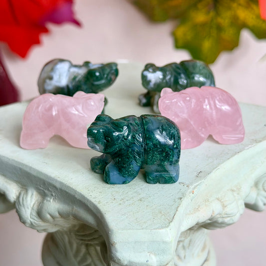 Mystery Mini Bär