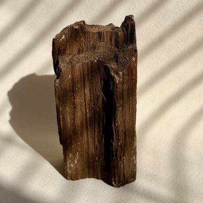 Feenholz 52FH