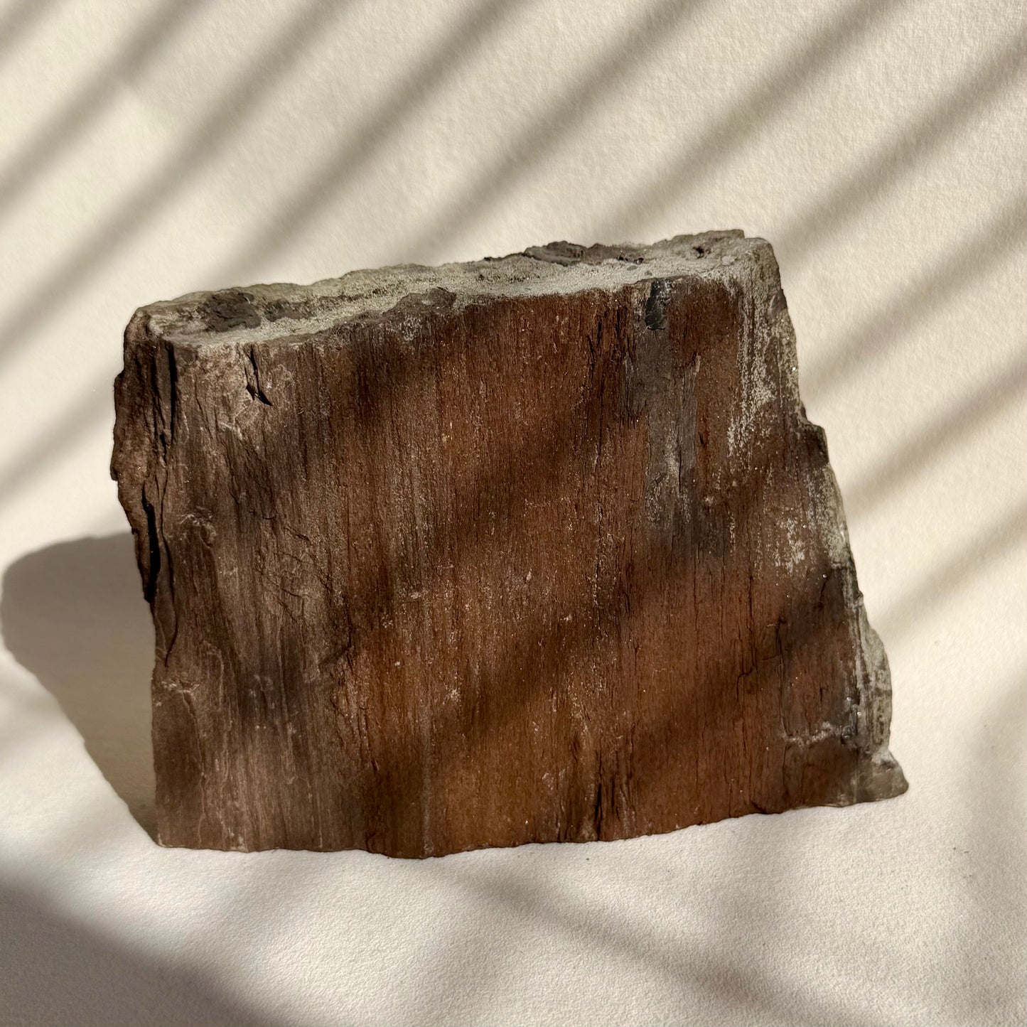 Feenholz 78SH