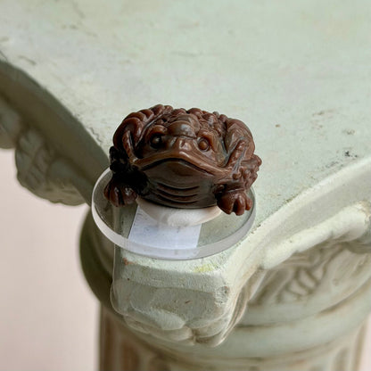 Alashan Agate Moneytoad - I