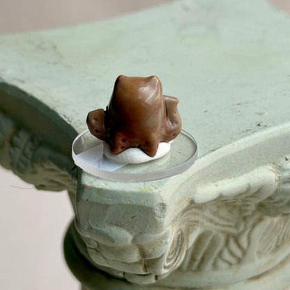 Alashan Agate Octokitty - I