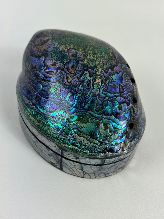 Abalone Muschel Box