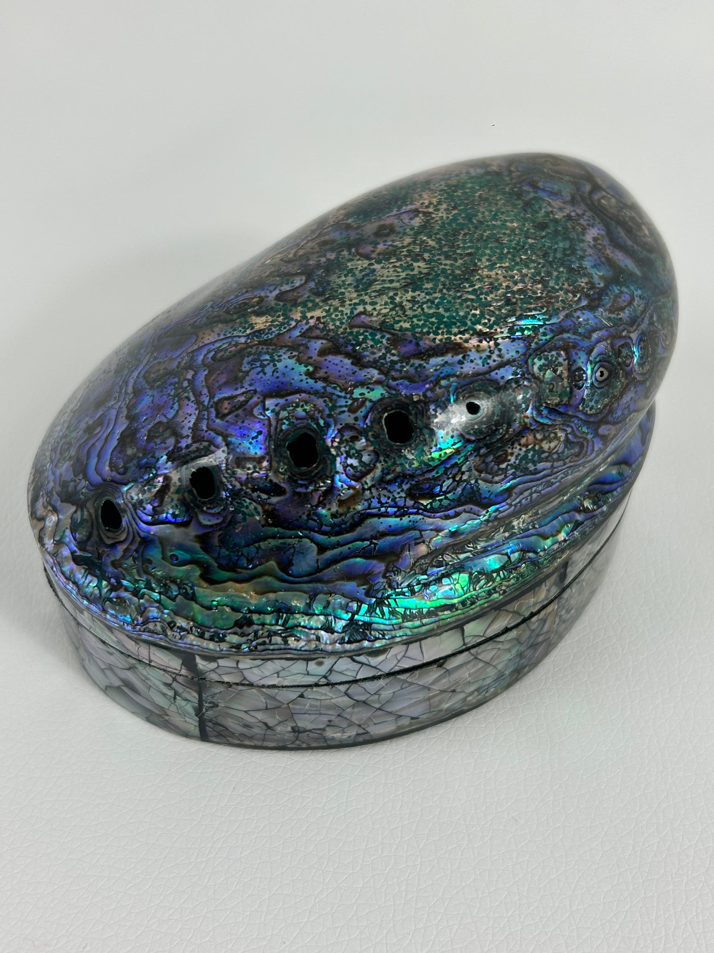 Abalone Muschel Box