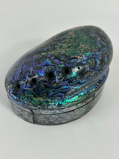 Abalone Muschel Box