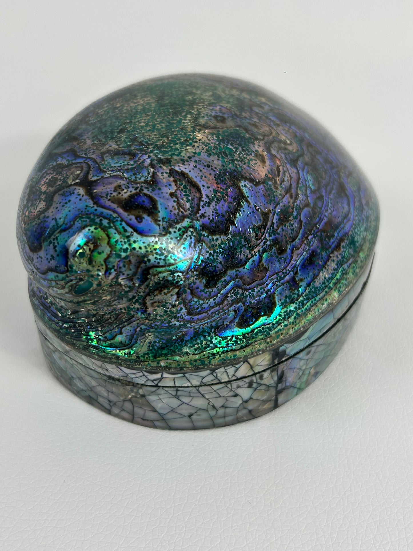 Abalone Muschel Box