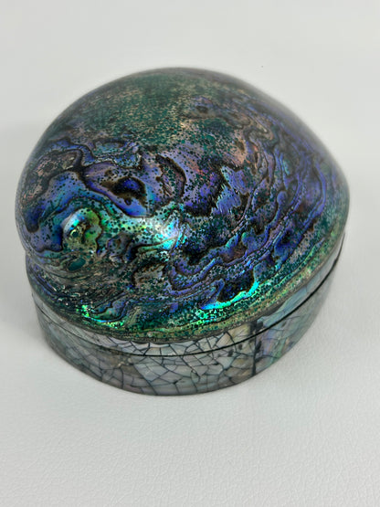 Abalone Muschel Box