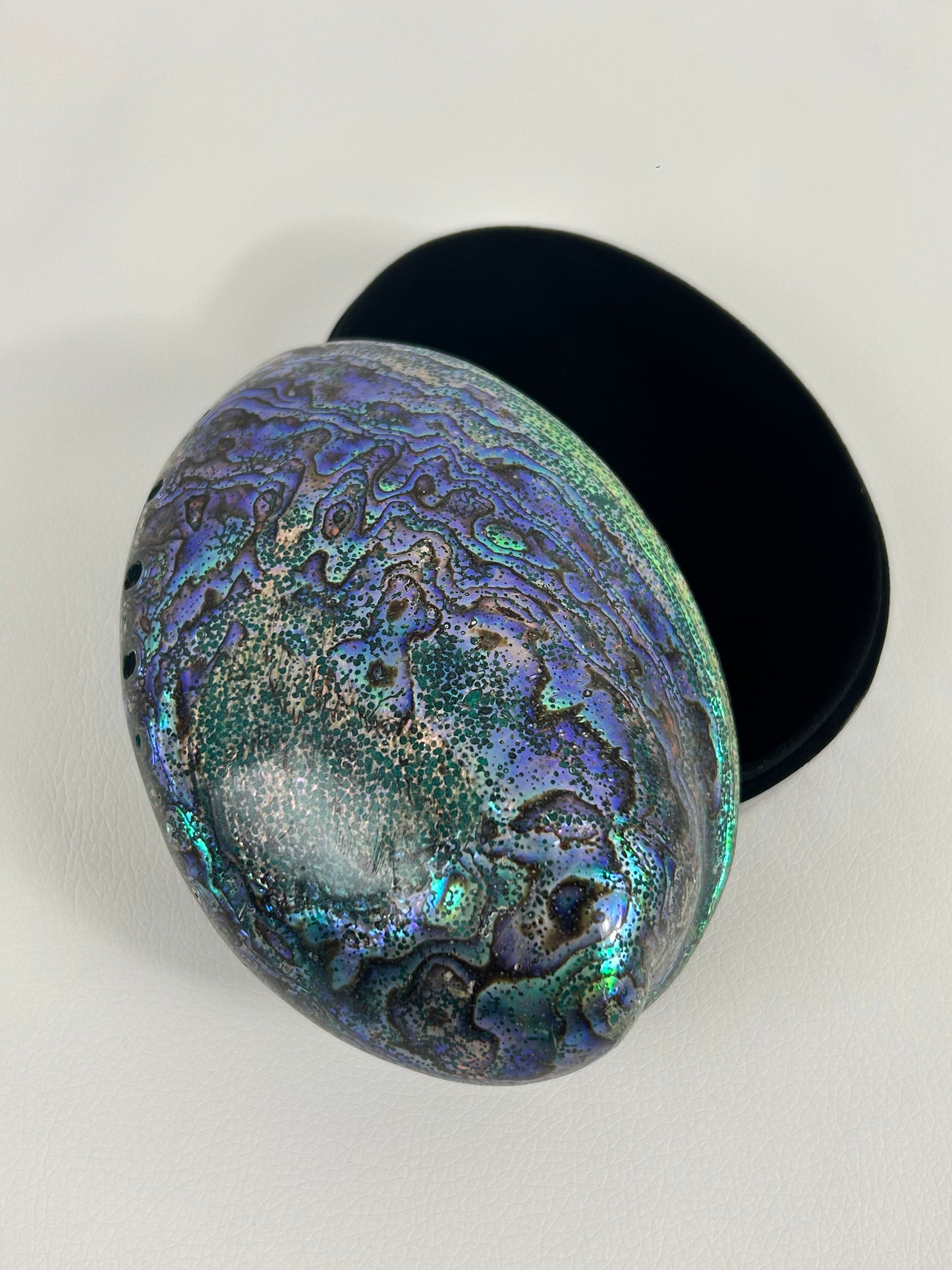 Abalone Muschel Box