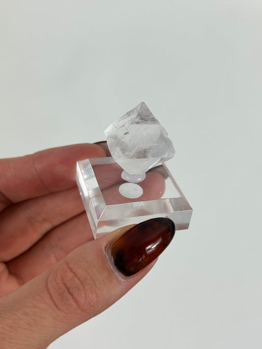 Fluorit Spaltoktaeder auf Sockel