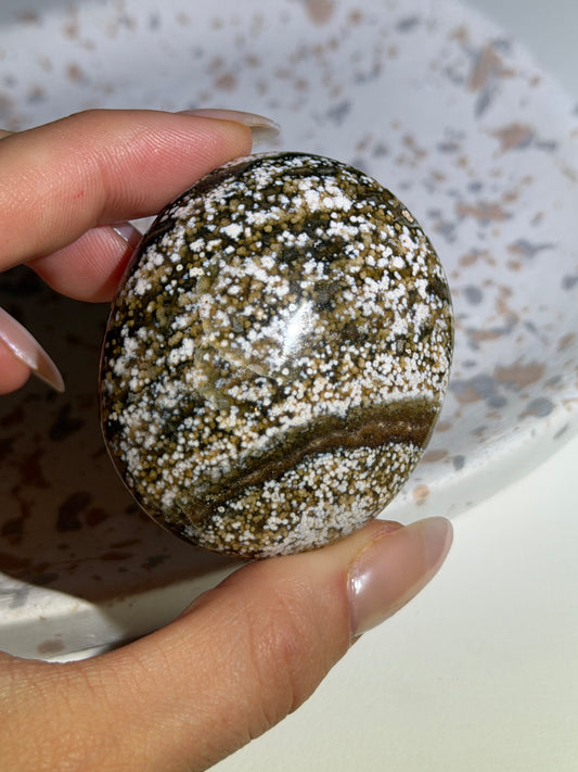 Ozeanjaspis Palmstone 13KS