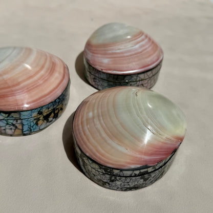 Herzmuschel - Schmuck Schatulle