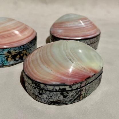 Herzmuschel - Schmuck Schatulle