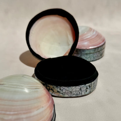 Herzmuschel - Schmuck Schatulle