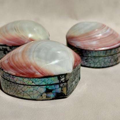 Herzmuschel - Schmuck Schatulle