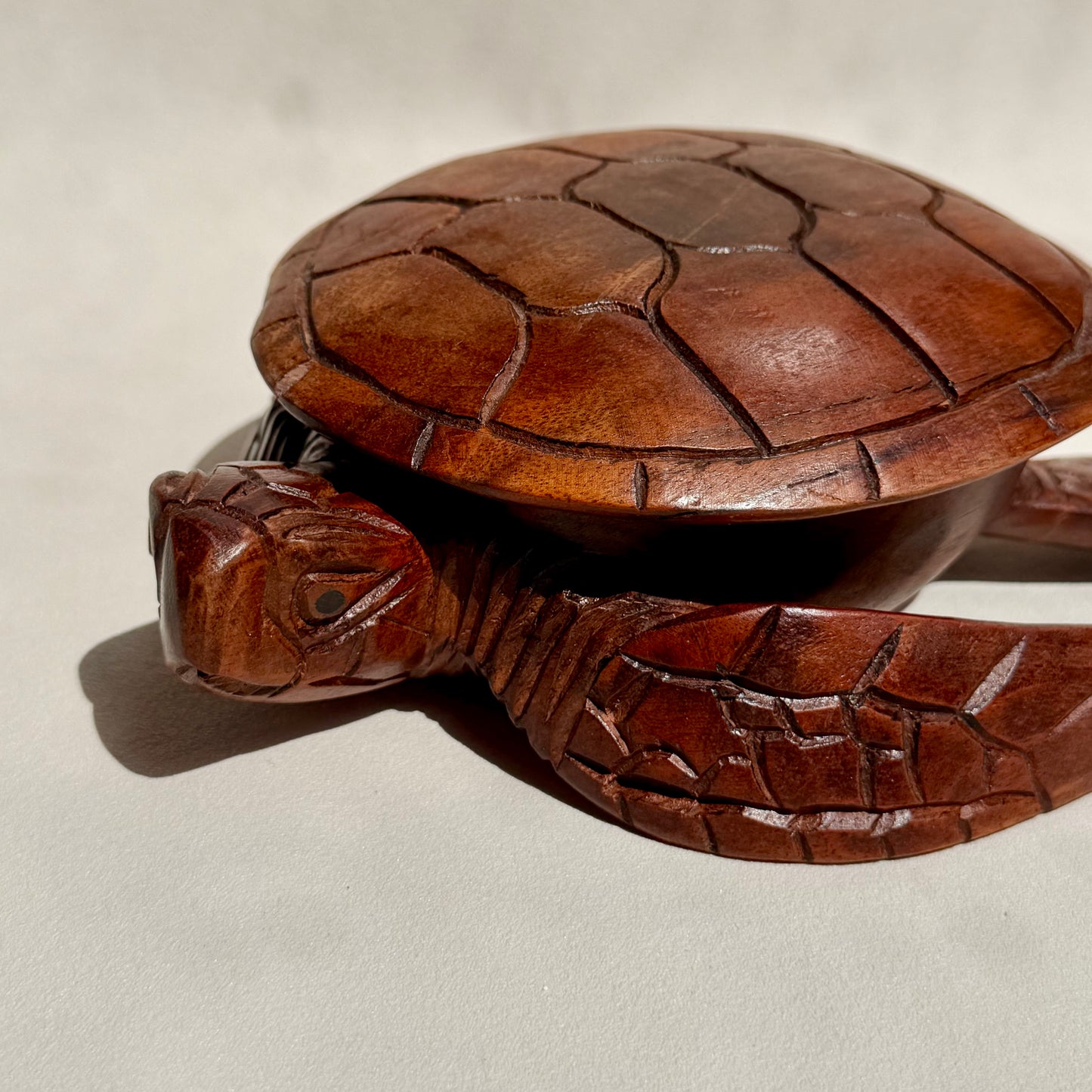 CHELONE - Schildkröten Schmuckschatulle