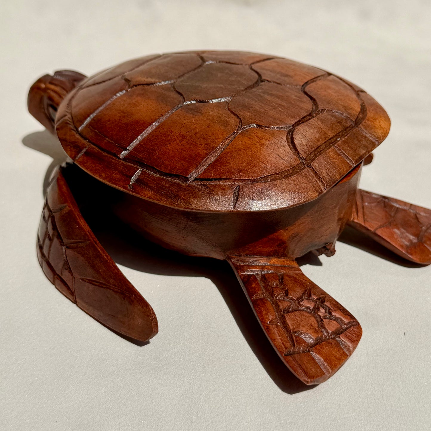 CHELONE - Schildkröten Schmuckschatulle
