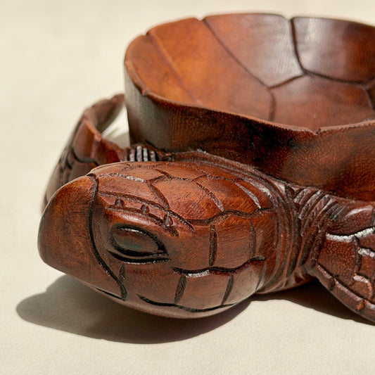 OGYGIA - Schildkrötenschale