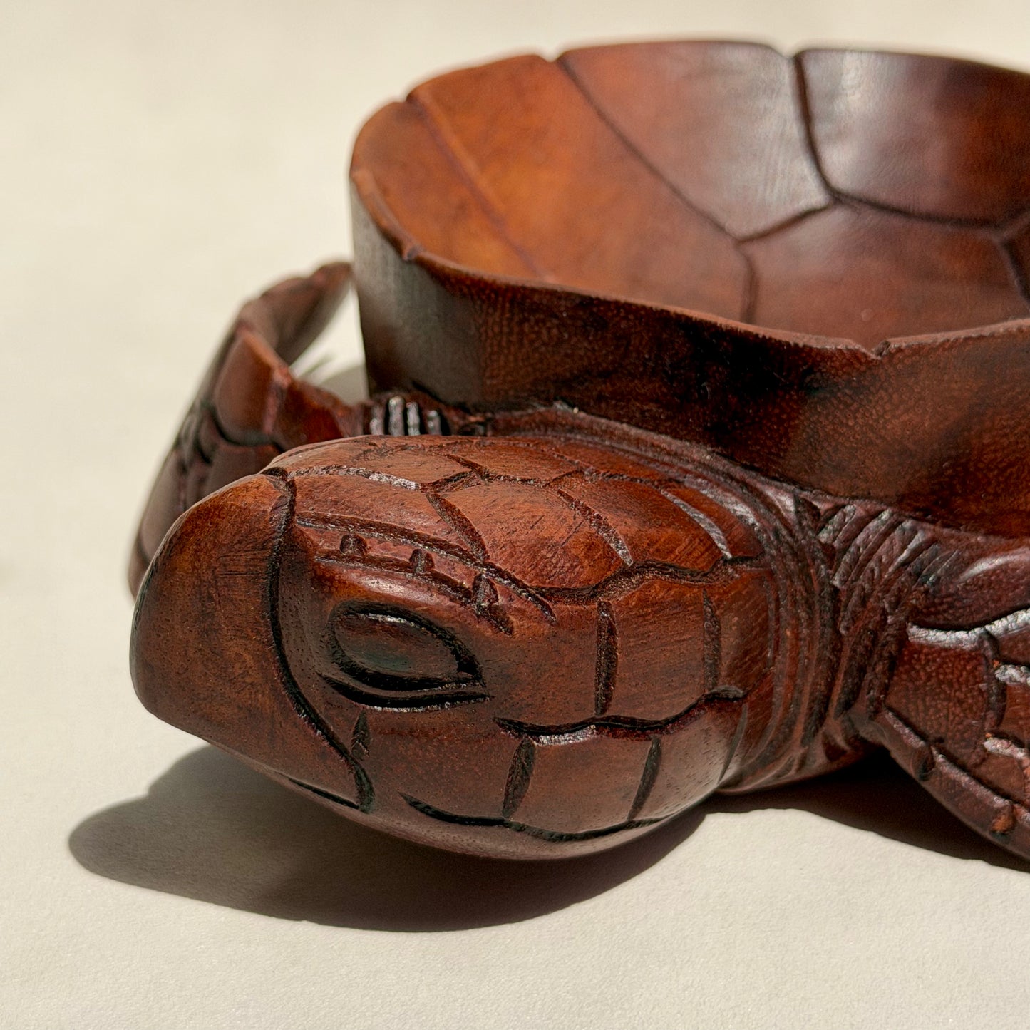 OGYGIA - Schildkrötenschale