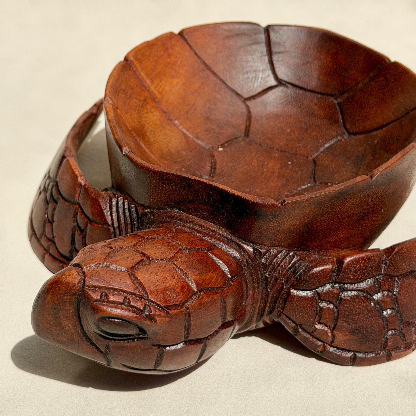 OGYGIA - Schildkrötenschale