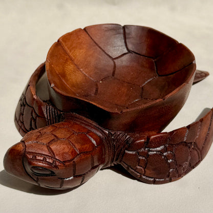 OGYGIA - Schildkrötenschale