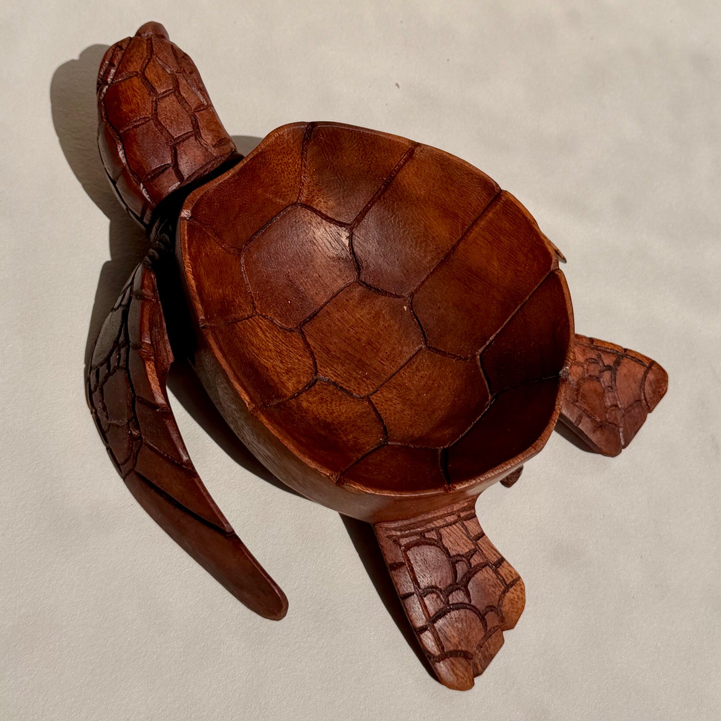 OGYGIA - Schildkrötenschale