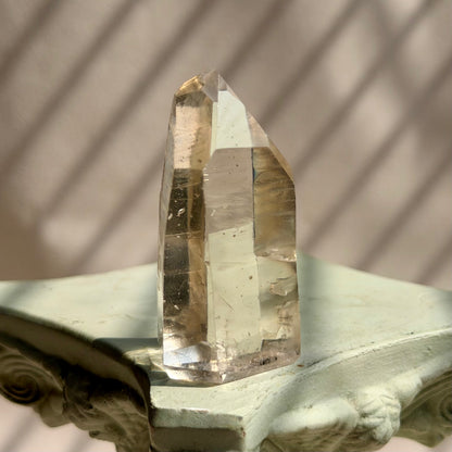 Golden Lemurian - 24LU