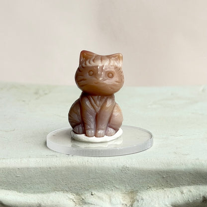 Katze – Alashan Achat - VI
