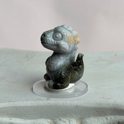 Dino  – Alashan Achat - II