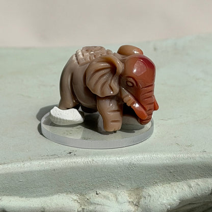 Elefant  – Alashan Achat - VII