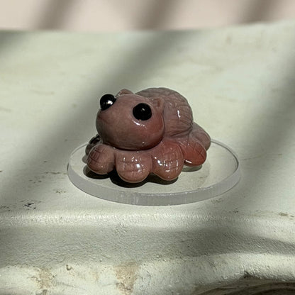 Spinne  – Alashan Achat - I