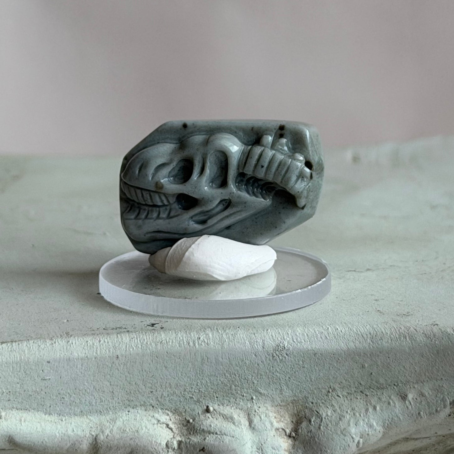 Fossil  – Alashan Achat - II