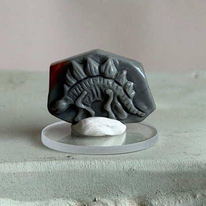 Fossil  – Alashan Achat - VII