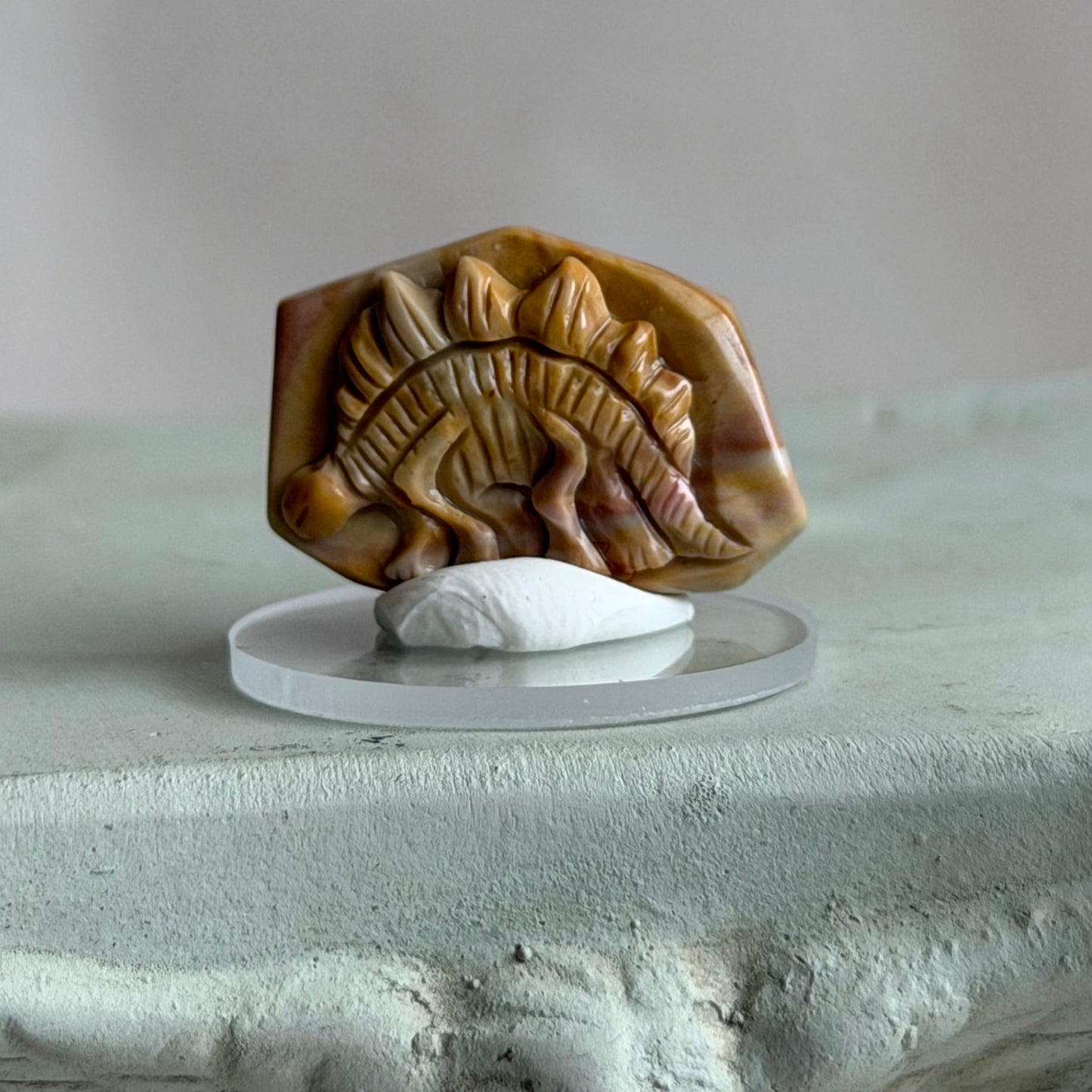 Fossil  – Alashan Achat - VIII