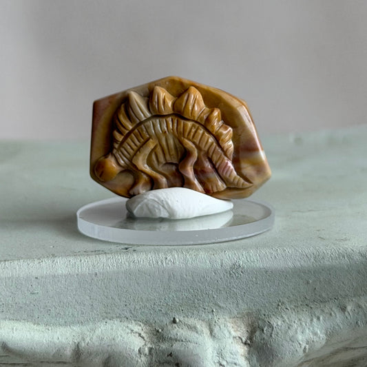 Fossil  – Alashan Achat - VIII